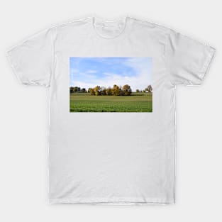 Group of trees in autumn T-Shirt